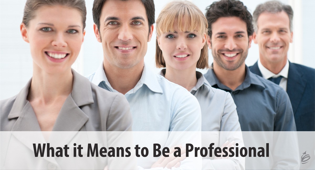 Professional Repair and Maintenance